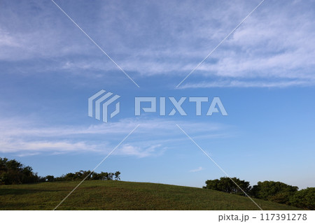 丘の上に広がる青空 117391278