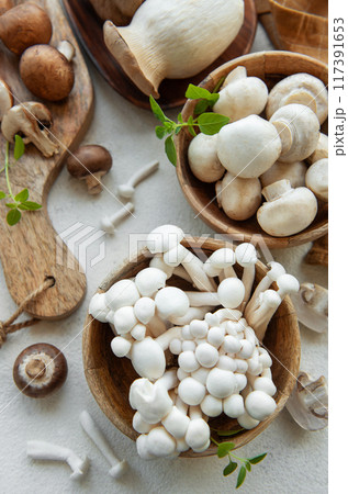 Assortment of various raw mushrooms on gray concrete background. Assortment of various raw mushrooms on gray concrete background. 117391653