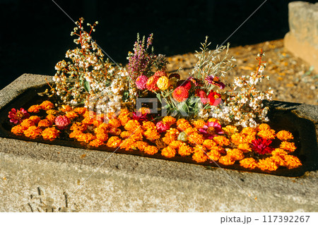 出流原弁天池の花手水 117392267