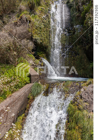 Vegetation and water distribution in the area of Levada 25 Fontes on the island of Madeira 117392986