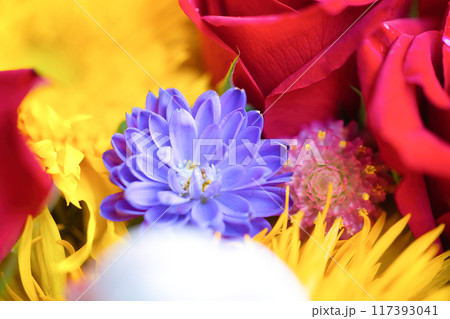 色とりどりの花を浮かべた花手水 色とりどりの花を浮かべた花手水 117393041