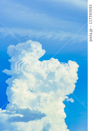 夏雲 イメージ 夏雲 イメージ 117393093