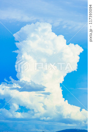 夏雲 イメージ 夏雲 イメージ 117393094