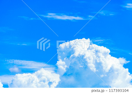夏雲　イメージ 117393104
