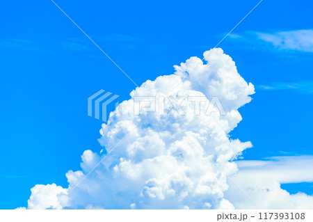 夏雲 イメージ 夏雲 イメージ 117393108