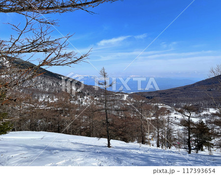 高峰温泉より積雪期の高峰山登山道を望む 117393654