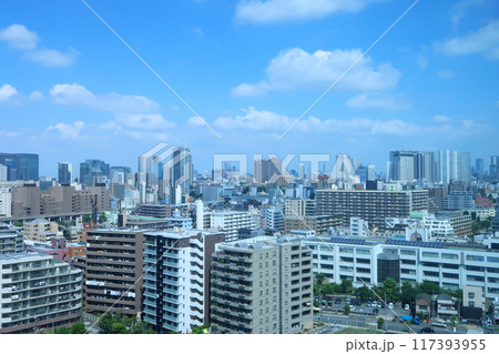 東京都品川駅と大崎駅付近の街並み 117393955