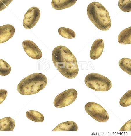 Whole tuber of white potatoes with brown skin. Watercolor illustration, hand drawn on the theme of harvest, cooking, food, packaging, vegetable shop design. Seamless simple pattern 117394022