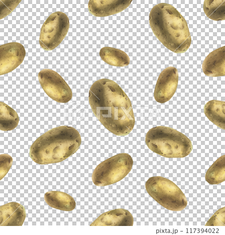 Whole tuber of white potatoes with brown skin. Watercolor illustration, hand drawn on the theme of harvest, cooking, food, packaging, vegetable shop design. Seamless simple pattern 117394022