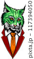 Vector image, the head of a lynx looks forward, on a white background. 117394050