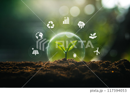 environment and natural treatment concept, bubbles protect plants in nature, and environment icons around bubbles 117394053