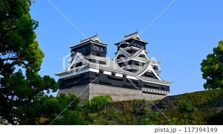 美しく豪壮雄大な天下の名城 熊本城 117394149