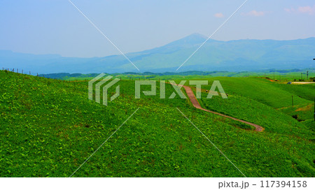 大観峰から眺める阿蘇の絶景 大観峰から眺める阿蘇の絶景 117394158