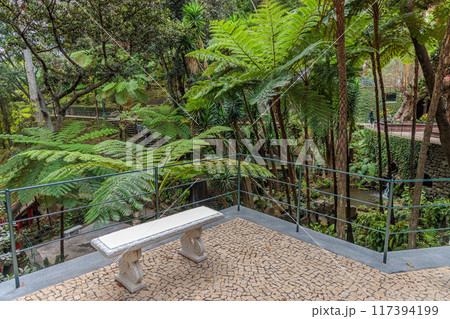 Walk around the Monte Palace Tropical Garden on the island of Madeira Walk around the Monte Palace Tropical Garden on the island of Madeira 117394199
