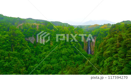 九重夢大吊橋から眺める 震動の滝 雄滝 九重夢大吊橋から眺める 震動の滝 雄滝 117394270