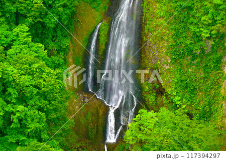九重夢大吊橋から眺める 震動の滝 雌滝 九重夢大吊橋から眺める 震動の滝 雌滝 117394297