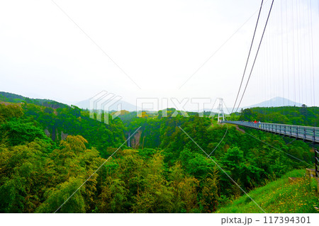 九重夢大吊橋と 震動の滝 (雄滝) 九重夢大吊橋と 震動の滝 (雄滝) 117394301