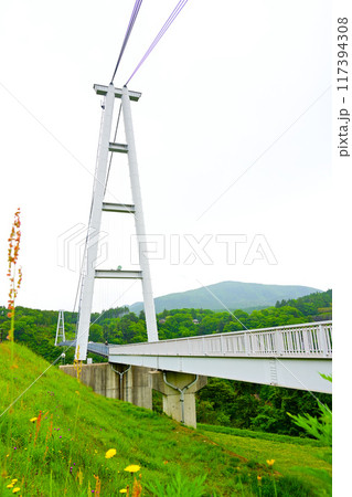 大分県　九重夢大吊り橋 117394308