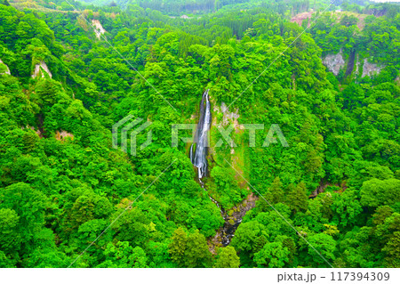 九重夢大吊橋から眺める 震動の滝 雌滝 九重夢大吊橋から眺める 震動の滝 雌滝 117394309