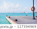 桟橋と青い海 117394969