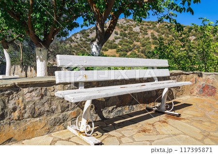 Empty wooden bench outdoor painted white against green vegetation. 117395871