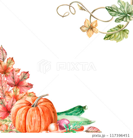Square frame with pumpkin, autumn leaves, zucchini, beetroot, carrot in watercolor illustration. Harvest theme composition for exhibitions and fairs. Illustration isolated from background. Square frame with pumpkin, autumn leaves, zucchini, beetroot, carrot in watercolor illustration. Harvest theme composition for exhibitions and fairs. Illustration isolated from background. 117396451