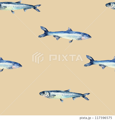 Small fishes anchovy on watercolor seamless pattern isolated. Fresh sea fish hand drawn endless background. Marine pattern with fish. Underwater sea design for package, textile, paper 117396575
