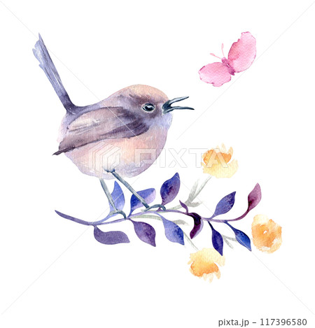 Small bird round body purples and pastel pinks plumage on branch hand drawn watercolor. Avian composition of singing bird butterfly and flower in botanical sketch. Bird art design for greeting card. 117396580