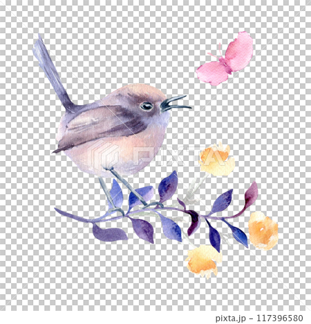 Small bird round body purples and pastel pinks plumage on branch hand drawn watercolor. Avian composition of singing bird butterfly and flower in botanical sketch. Bird art design for greeting card. 117396580