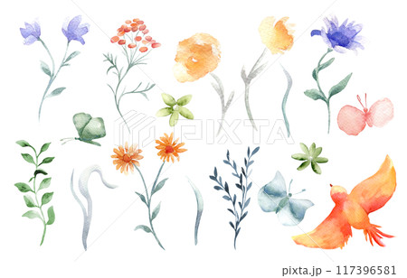 Watercolor set of flowers, branch and leaves orange, blue colors isolated illustration. Abstract meadow plants and butterflies hand drawn. Orange bird in flight. Floral set for design card, textile. Watercolor set of flowers, branch and leaves orange, blue colors isolated illustration. Abstract meadow plants and butterflies hand drawn. Orange bird in flight. Floral set for design card, textile. 117396581