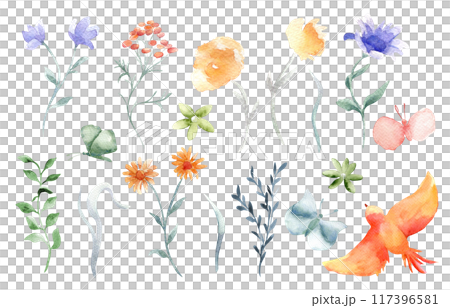 Watercolor set of flowers, branch and leaves orange, blue colors isolated illustration. Abstract meadow plants and butterflies hand drawn. Orange bird in flight. Floral set for design card, textile. Watercolor set of flowers, branch and leaves orange, blue colors isolated illustration. Abstract meadow plants and butterflies hand drawn. Orange bird in flight. Floral set for design card, textile. 117396581