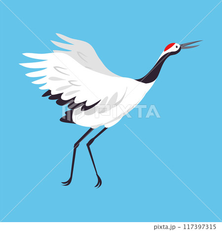 Red Crowned Crane as Long-legged and Long-necked Bird Running with Spread Wings on Blue Background Vector Illustration Red Crowned Crane as Long-legged and Long-necked Bird Running with Spread Wings on Blue Background Vector Illustration 117397315