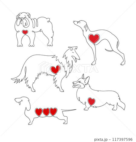 Popular dog breeds. A large set of five dog breeds drawn in one line. Dachshund Collie Corgi, Bulldog and Hound Popular dog breeds. A large set of five dog breeds drawn in one line. Dachshund Collie Corgi, Bulldog and Hound 117397596