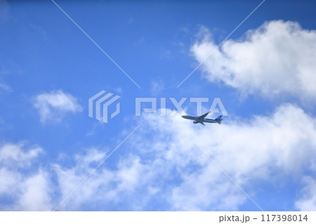 青空と飛行機 117398014