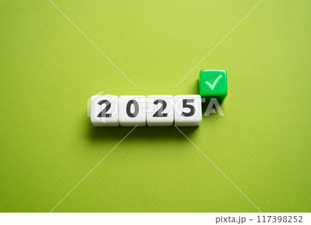 2025 and a green check mark. Achievements of the new year. Summarize. Fulfill the plan by the end of the year. 2025 and a green check mark. Achievements of the new year. Summarize. Fulfill the plan by the end of the year. 117398252