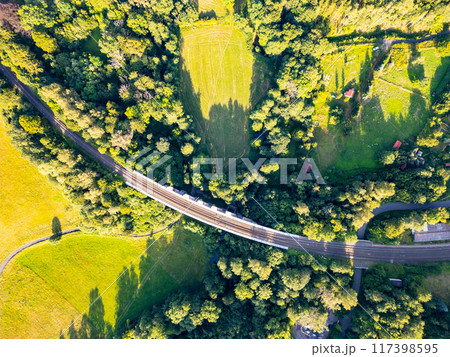 The railway bridge spans through lush greenery, connecting two sections of terrain, surrounded by trees and fields under bright sunlight. 117398595