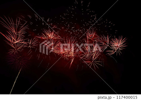 高知市納涼花火大会の放射状に広がる花火 117400015