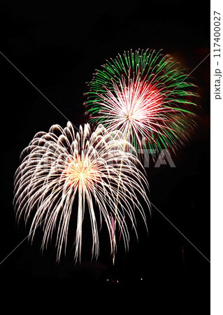 高知市納涼花火大会の放射状に広がる花火 117400027