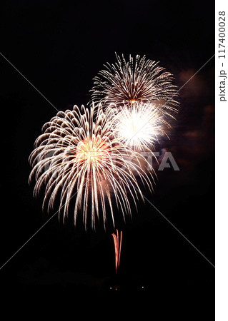 高知市納涼花火大会の放射状に広がる花火 117400028