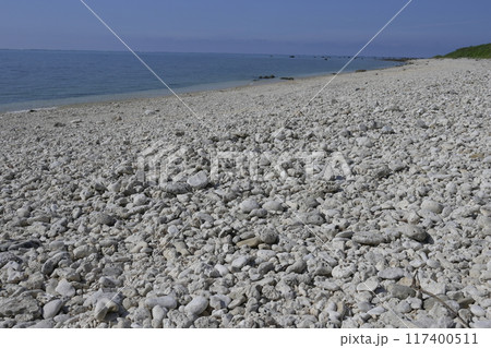 石垣島 石垣島 117400511