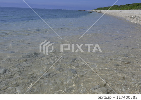 石垣島 石垣島 117400585