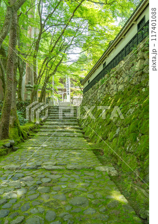 岐阜県揖斐川町　西美濃三十三霊場第一札所の新緑の横蔵寺の入り口への石段 117401088