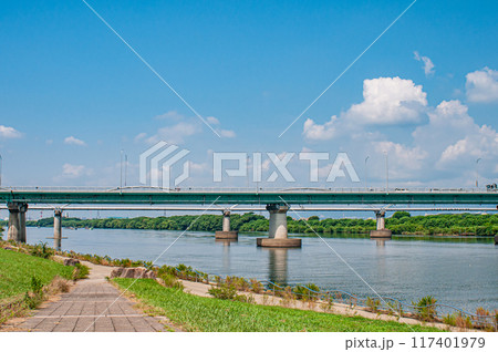 淀川河川公園から見た枚方大橋 淀川河川公園から見た枚方大橋 117401979