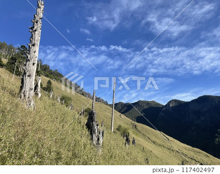景色 風景 青空 117402497