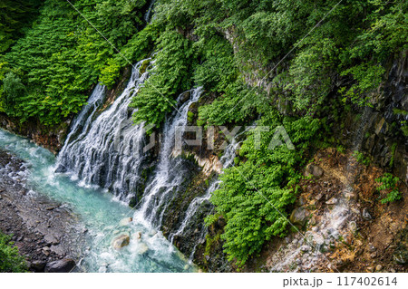白ひげの滝 白ひげの滝 117402614