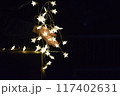 降り注ぐ星を手作り 117402631