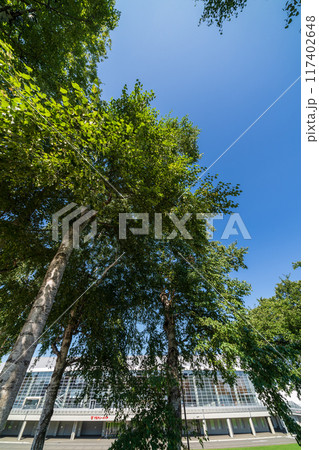 「青森県」夏・青空と長根公園の風景 八戸市 「青森県」夏・青空と長根公園の風景 八戸市 117402648