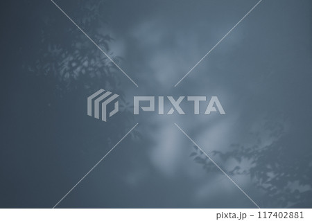 白壁に映る枝葉の影　暗め　寒色 117402881