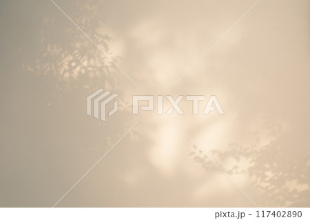 白壁に映る枝葉の影　明るめ　暖色 117402890