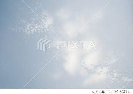 白壁に映る枝葉の影 明るめ 寒色 白壁に映る枝葉の影 明るめ 寒色 117402891